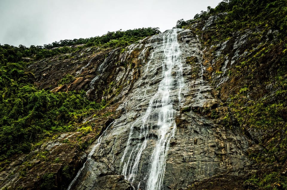 From Da Nang: Bach Ma National Park Trekking - Experience the Flora and Fauna