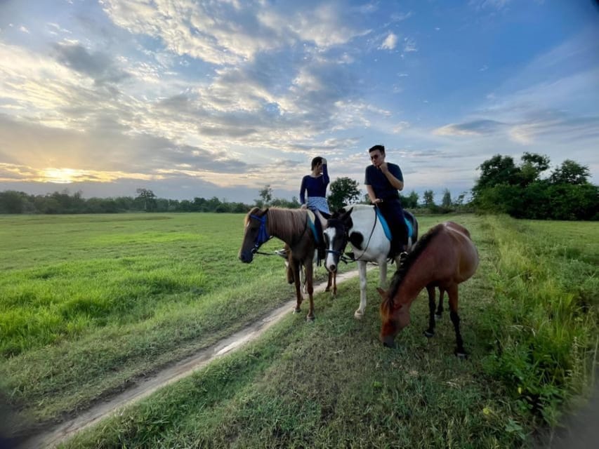 From Da Nang: Half Day Horse Riding and Coconut Boat-Hoi An. - Horse Riding Options