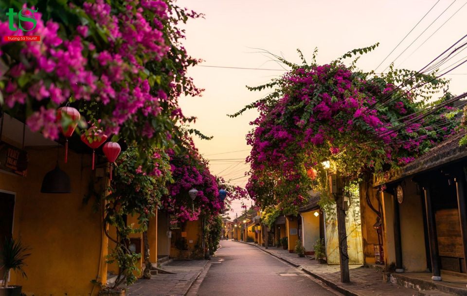 From Da Nang: Half Day Linh Ung-Marble Mountain-Hoi an Tour. - Inclusions and Exclusions