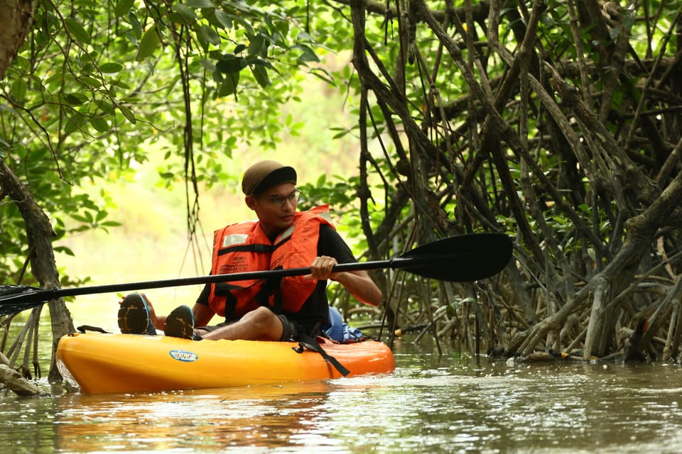 From Desaru: Lebam River Kayak Trip - Wildlife Observation Opportunities