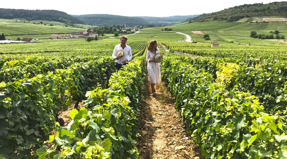 From: Dijon/Beaune: Burgundy Region Winery Tour With Lunch - Experience Details