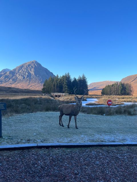 From Edinburgh: The Kelpies, Glencoe & Loch Lomond Day Tour - Exploring Callander