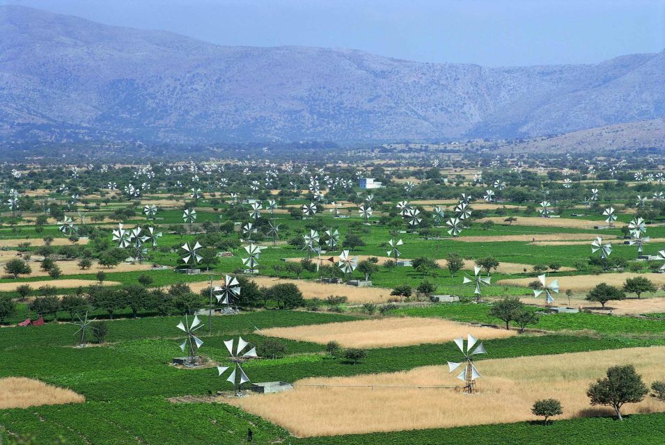 From Elounda Cretan Lasithi Plateau, Zeus Cave, Oldest Tree - Journey to Zeus Cave