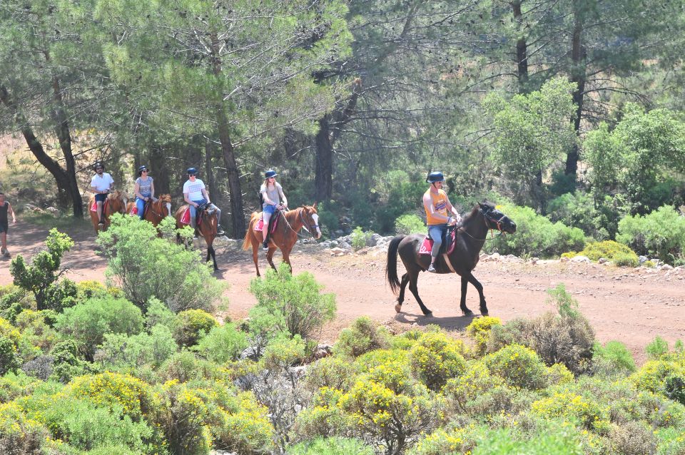 From Fethiye: Horse Riding Adventure - Detailed Itinerary