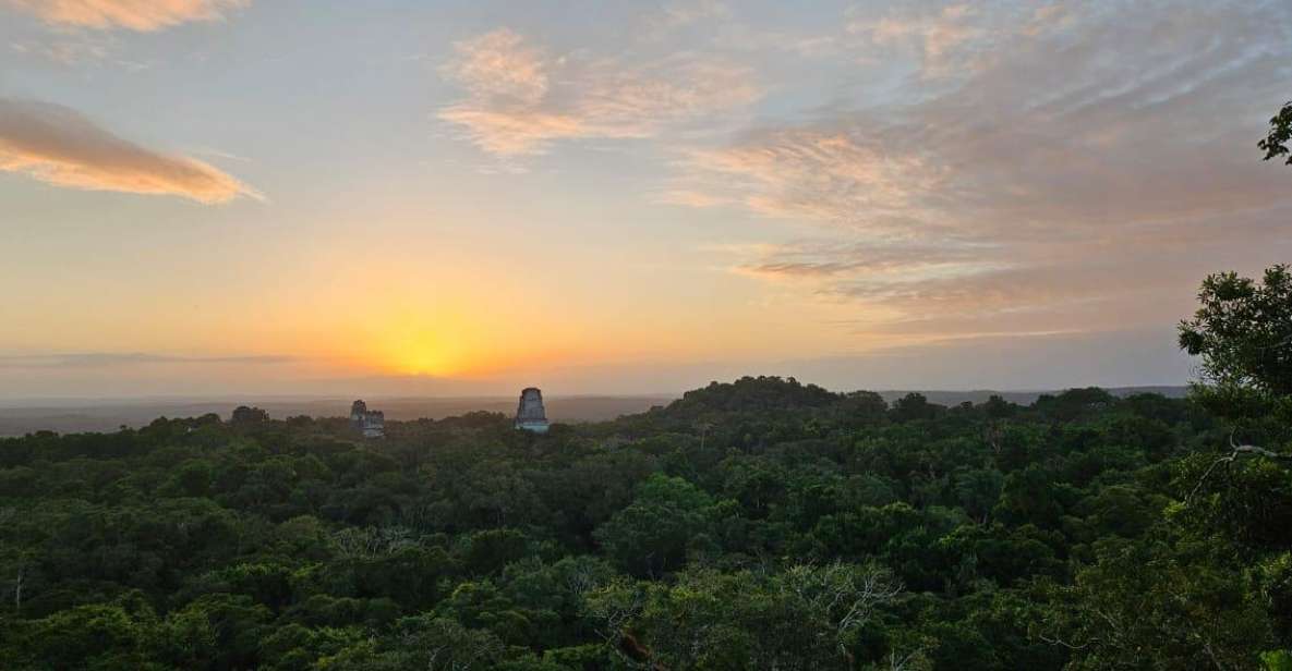 From Flores Guided Tour to Tikal With Transportation + Lunch - Tikal Highlights