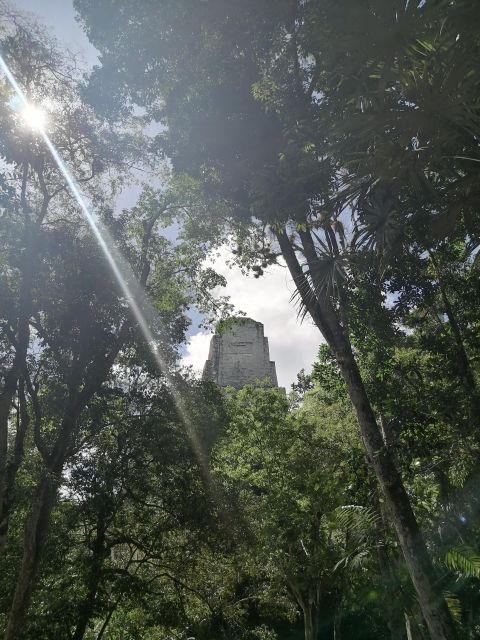 From Flores: Tikal Private Day Tour Exclusive - Pickup and Drop-off Locations