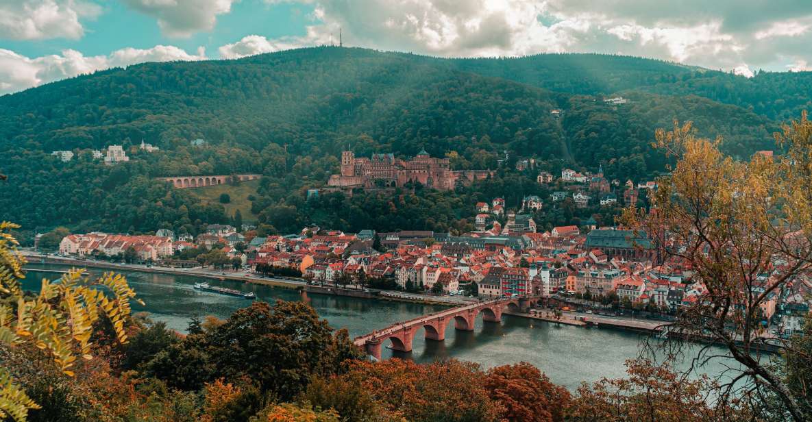 From Frankfurt: Day Tour to Heidelberg With Local Guide - Cost and Booking Details