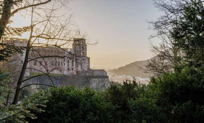 From Frankfurt: Heidelberg & Rothenburg Daytour - Participant Information