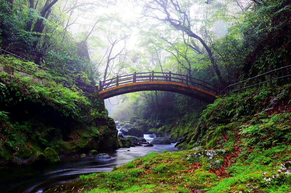 From Fukuoka: Day Trip to Miyazaki Takachiho Gorge & Shrine - Transportation Details