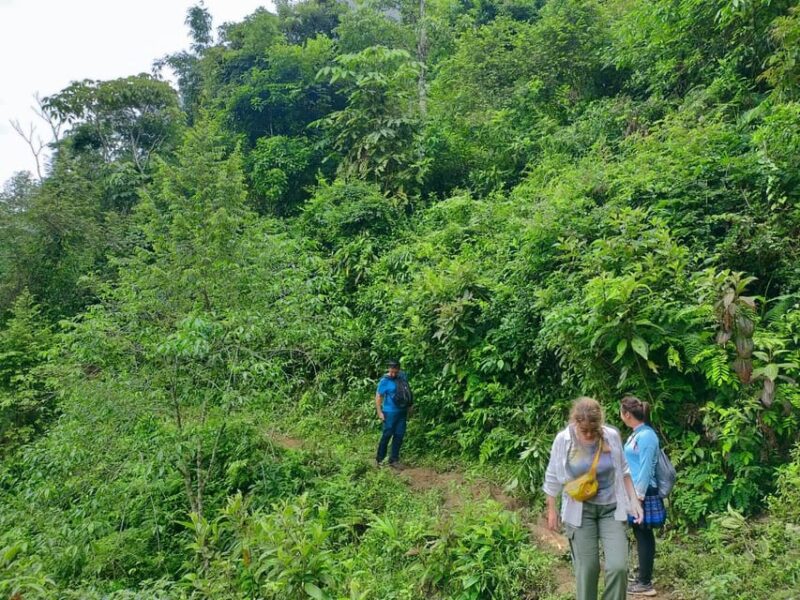 From Hanoi: 2-Day Sapa Trek& Overnight in Cosy Ethnic Family - Day 1 Highlights