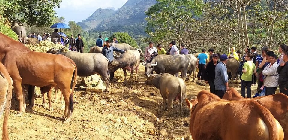 From Hanoi: 3-Day Best Of Ha Giang Loop Private Tour - Inclusions and Amenities