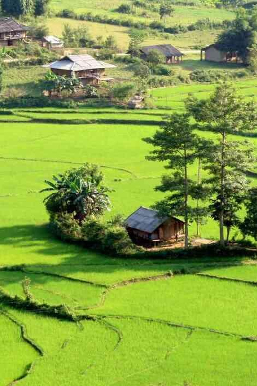 From Hanoi: 3-Day Motorbike Ha Giang Loop With Easy Rider - Included Services