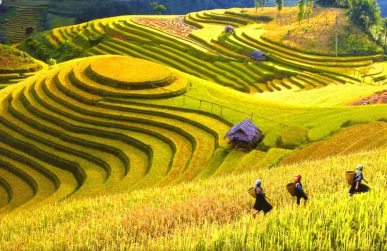 From Hanoi: 3-Day Sapa Trekking Tour With Homestay or Hotel - Accommodation Details