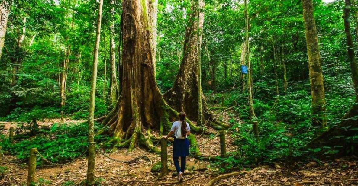 From Hanoi: Cuc Phuong National Park - Highlights of the Itinerary