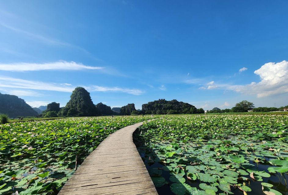 From Hanoi: Hoa Lu – Tam Coc or Trang An – Mua Cave - Highlights of the Trip