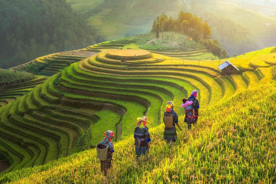 From Hanoi: Sapa 2 Days 1 Night - Key Tour Highlights