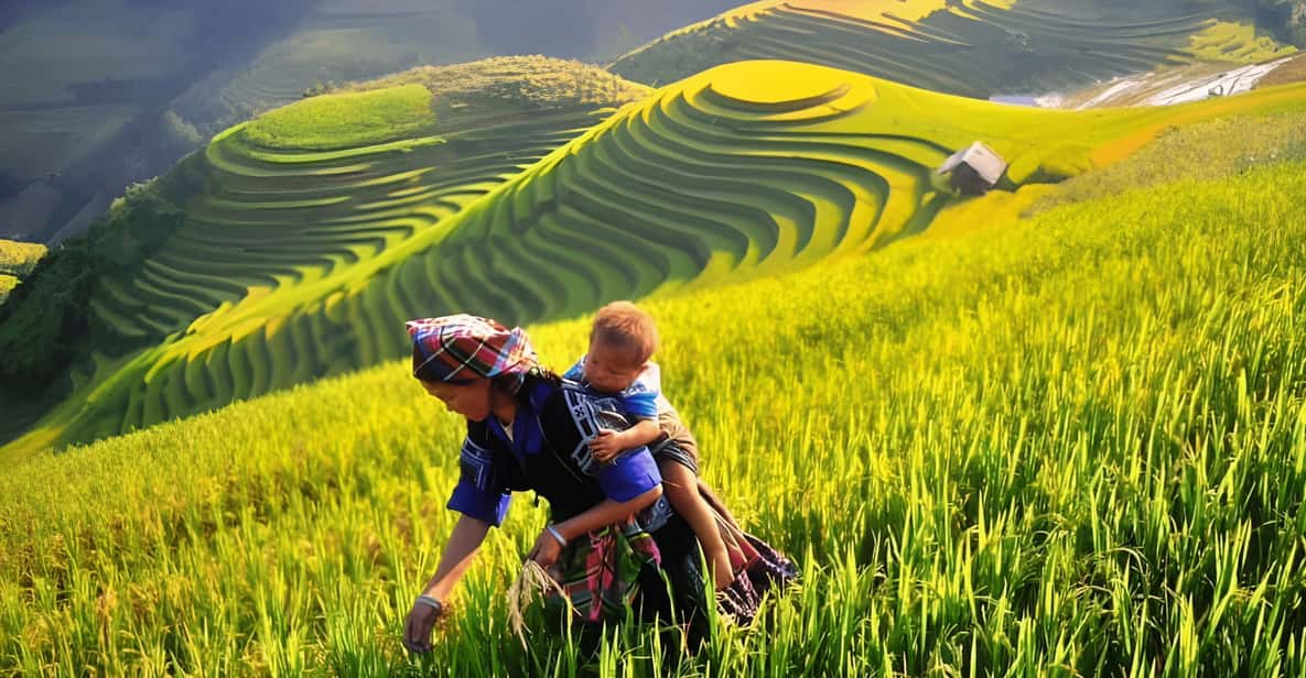 From Hanoi: Sapa 2 Days & Trekking To Local Village - Experience Highlights