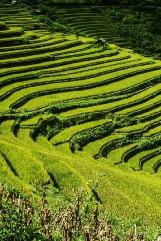 From Hanoi: Sapa Tour 2 Days With Fansipan Peak Visit - Day 1 Highlights