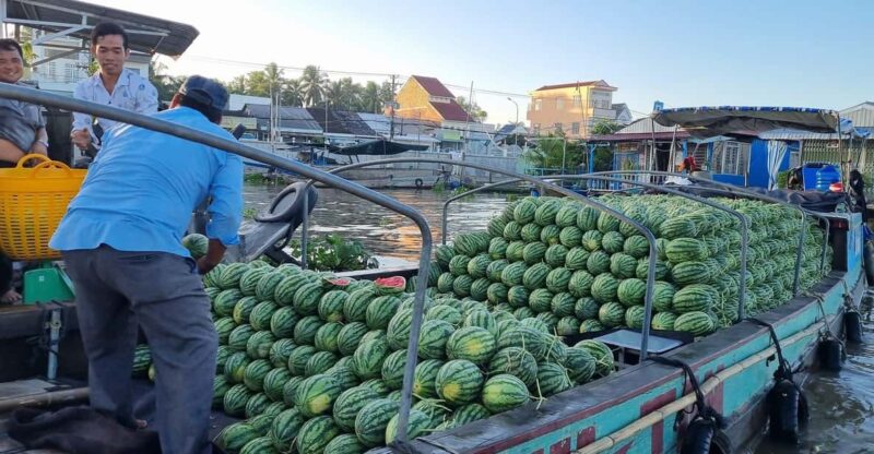 From HCM: Explore Mekong Delta & Floating Market For 2 Days - Day 1 Itinerary