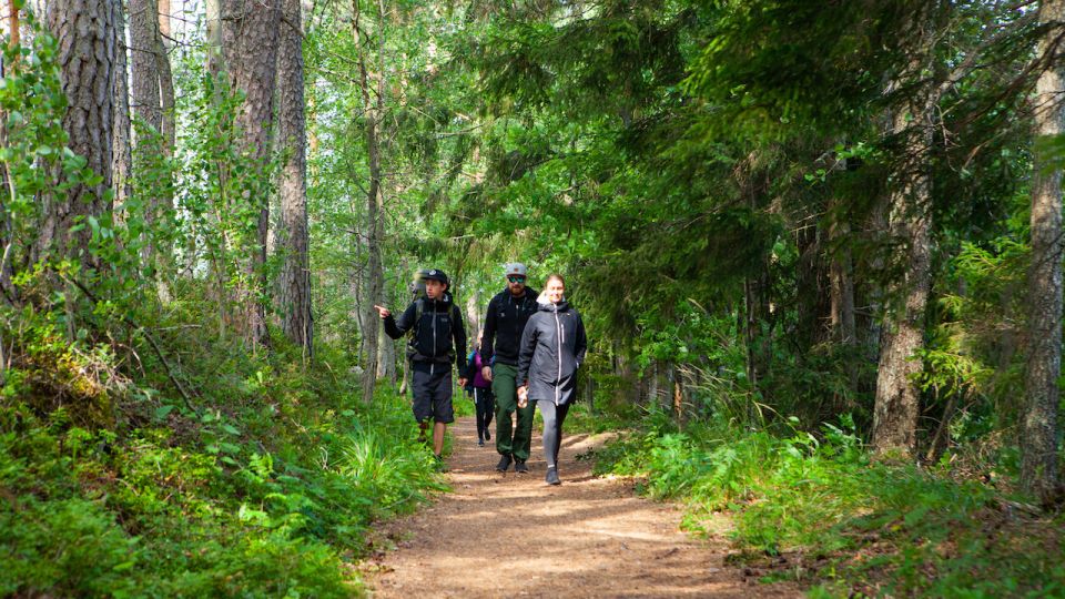 From Helsinki: Berry Picking Day Trip in a National Park - Lunch Experience