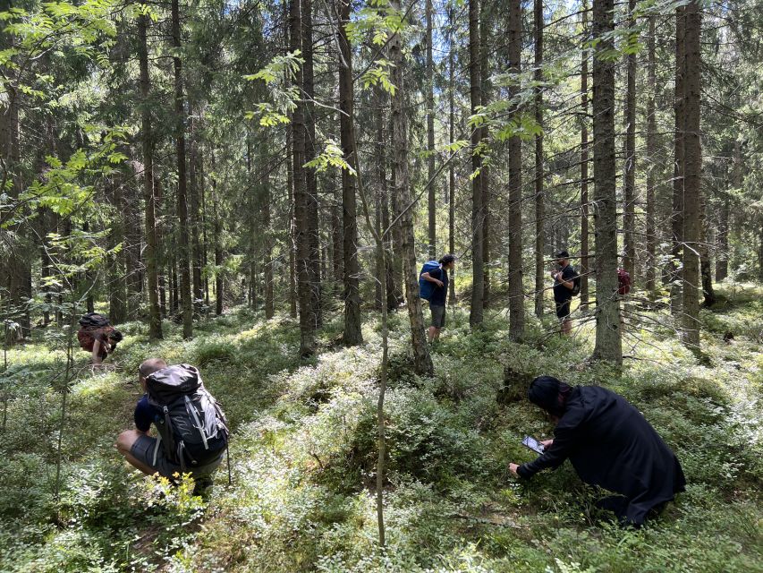 From Helsinki: Hike and Sauna in Sipoonkorpi National Park - Transportation Details