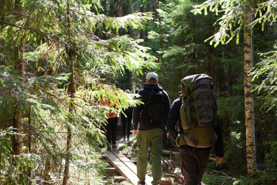 From Helsinki: Mushroom Hunting Tour in a National Park - Experience the Wilderness