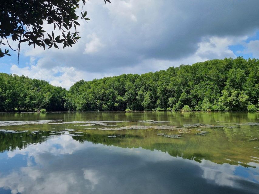 From Ho Chi Minh: Can Gio Mangrove Forest & Monkey Island - Nature and Wildlife