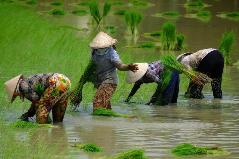 From Ho Chi Minh City: Mekong Delta Full-Day Private Tour - Transportation Information