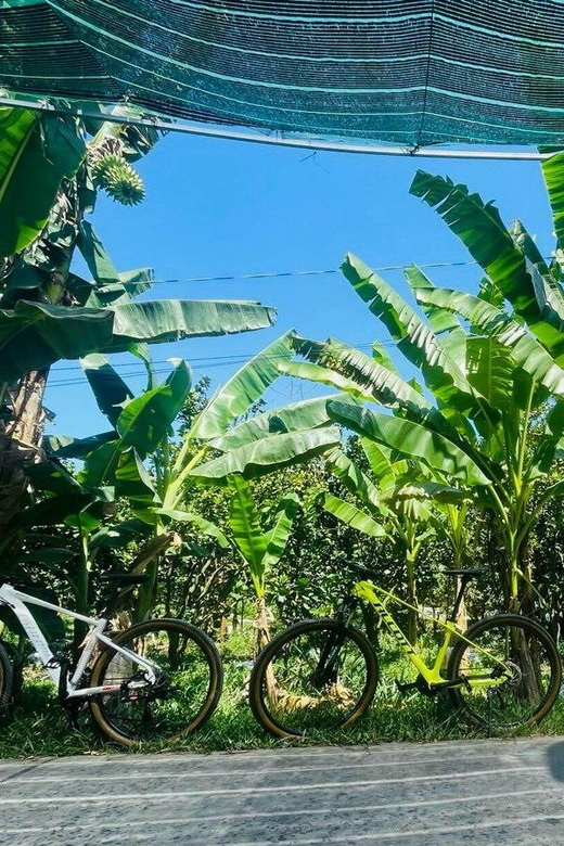 From Ho Chi Minh: Mekong Delta Day Trip With Biking - Detailed Itinerary