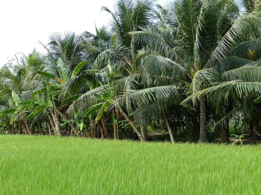 From Ho Chi Minh: My Tho and Ben Tre Full-Day Trip - Must-See Highlights