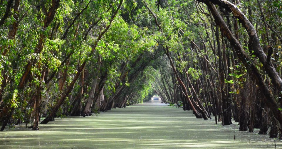 From Ho Chi Minh: Three-Day Mekong Delta Tour - Day 2 Highlights