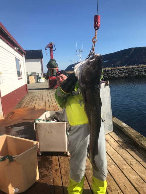 From Honningsvåg: North Cape Private Fishing Boat Trip - Important Considerations