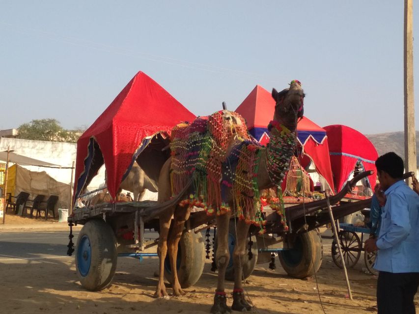 From Jaipur: Ajmer and Pushkar Private Tour By Ac Car - Transportation and Comfort