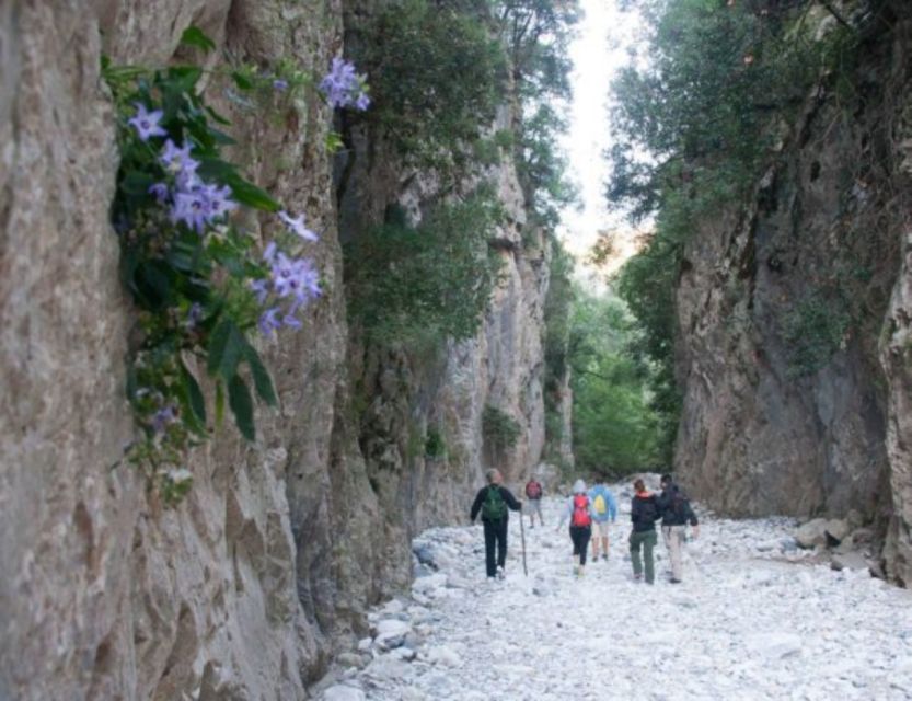 From Kalamata: Ridomo Gorge Hiking Tour With Greek Coffee - Hiking Details