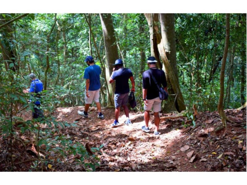 From Kandy: Bird Watching Tour to Udawatte Kele Sanctuary - Transportation and Inclusions