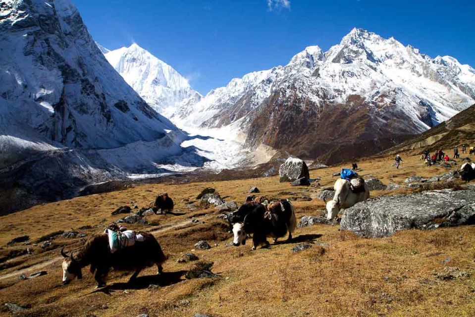 From Kathmandu :11-Day Guided Manasalu Circuit Trek - Inclusions and Services