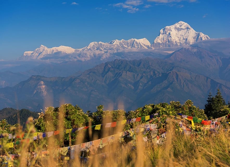 From Kathmandu : 5 Days Ghorepani Poonhill Guided Trek - Day 1: Arrival in Pokhara