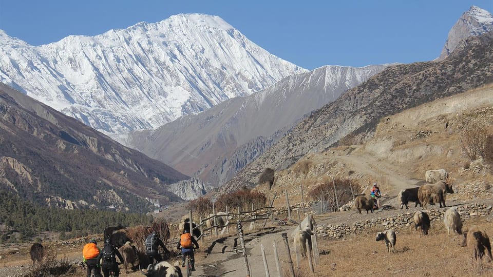 From Kathmandu : 5- Days Short Tilicho Lake Trek - Pricing Information