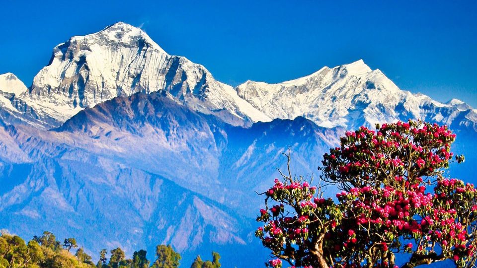 From Kathmandu: Goorepani Poonhill Trekking Trip - Included Features