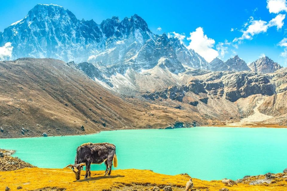 From Katmandu: 15-DAY Gokyo Valley Trek With Porter - Inclusions and Support