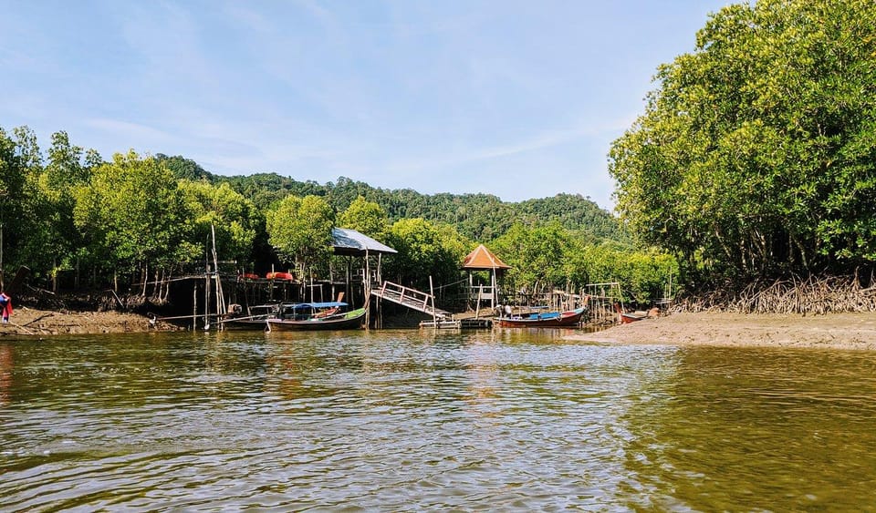 From Ko Lanta: Mangrove Eco-Excursion by Longtail Boat - Highlights and Features