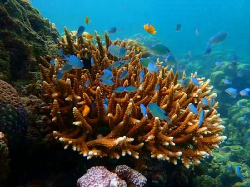 From Ko Libong: Laoliang Islands Private Tour - Inclusions