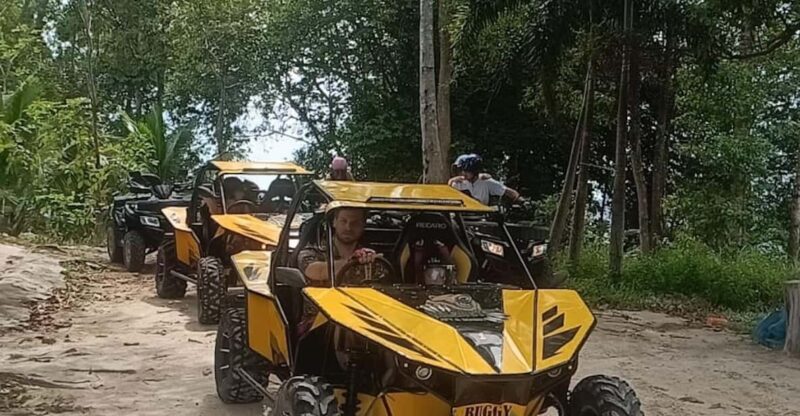 From Koh Samui: 2 Hour BUGGY Adventure - Scenic Highlights