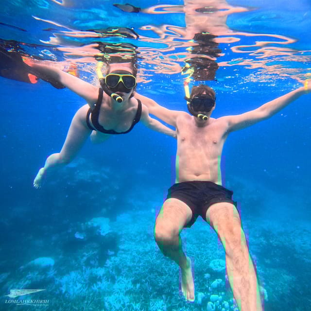 From Koh Samui:Snorkeling Trip at Koh Nangyuan&Koh Tao - Itinerary Details