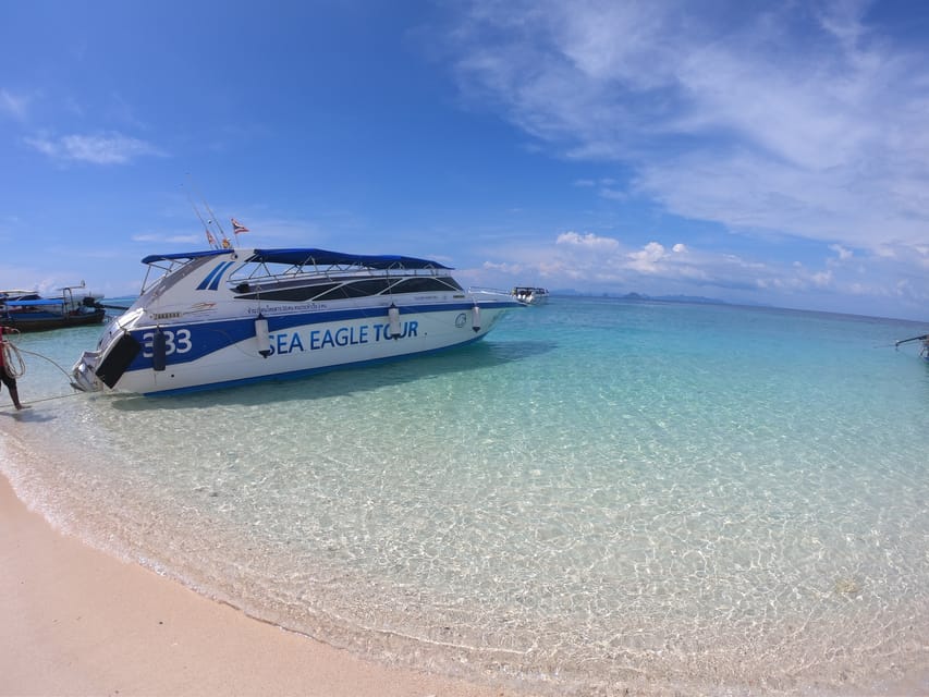 From Krabi: Phi Phi Islands Speedboat Day Tour - Price and Inclusions