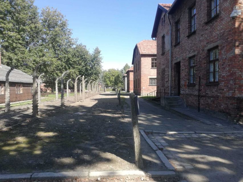 From Krakow: Auschwitz-Birkenau and Self-Guided Day Tour - Recommendations for Participants