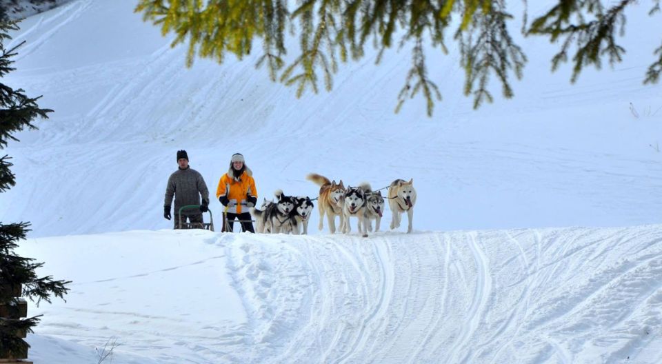 From Krakow: Dogsled Ride in Tatra Mountain - Scenic Journey From Krakow