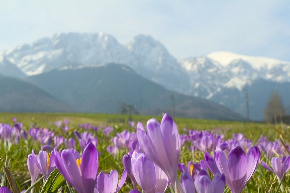 From Krakow: Full-Day Tour of Zakopane and Tatra Mountains - Inclusions of the Tour