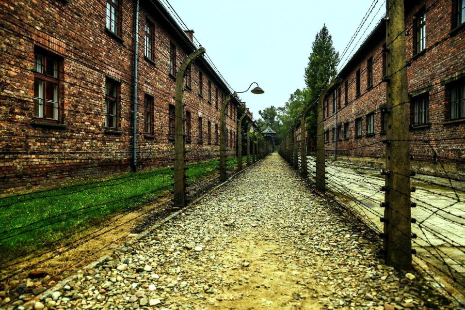 From Krakow: Guided Auschwitz-Birkenau Group Tour by Minivan - Transportation Options