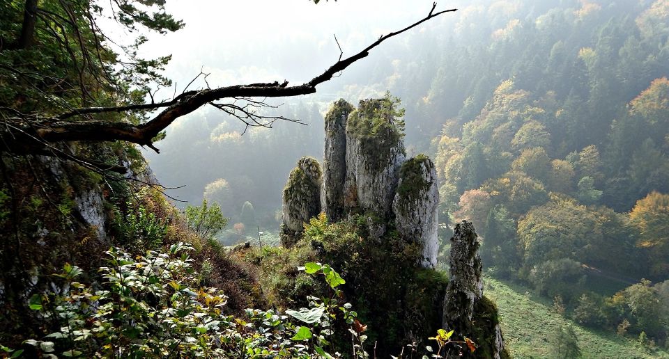 From Krakow: Ojców National Park Tour - Overview of the Tour